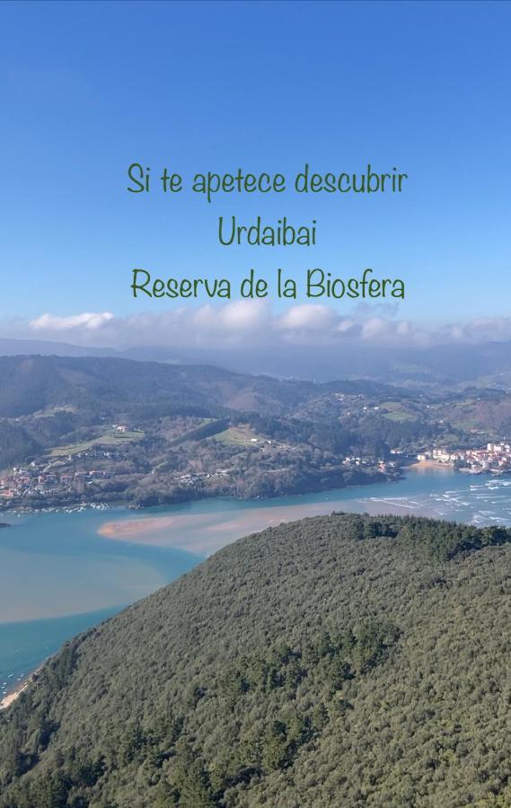 Apartment Lekunberri Baserria Arrieta (Biscay)
