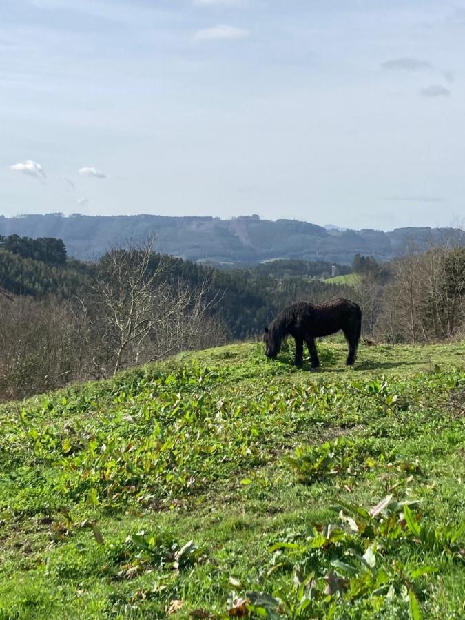 Lekunberri Baserria * Arrieta (Biscay)